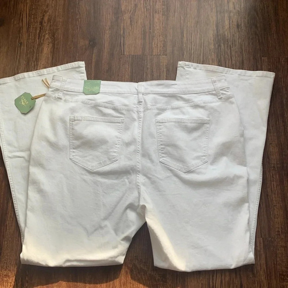 Ryegrass High-Waist Flare Leg White Jeans 24W NWT - Picture 3 of 8